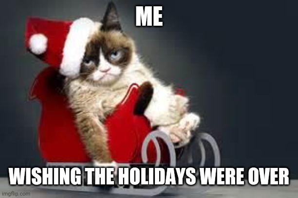 Is it over yet? | ME; WISHING THE HOLIDAYS WERE OVER | image tagged in compliance cat holidays,depressed cat | made w/ Imgflip meme maker