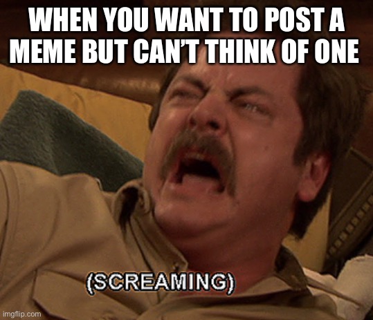 Ron Swanson screaming | WHEN YOU WANT TO POST A MEME BUT CAN’T THINK OF ONE | image tagged in ron swanson screaming,ronswanson | made w/ Imgflip meme maker