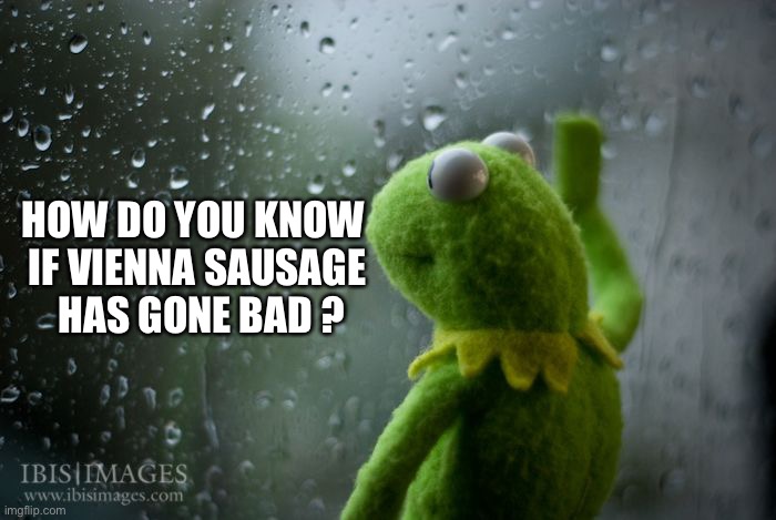 kermit window | HOW DO YOU KNOW 
IF VIENNA SAUSAGE
 HAS GONE BAD ? | image tagged in kermit window | made w/ Imgflip meme maker