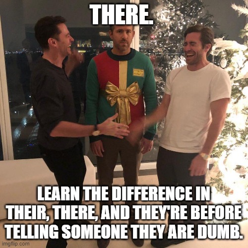 Ryan Reynolds Sweater Party | THERE. LEARN THE DIFFERENCE IN THEIR, THERE, AND THEY'RE BEFORE TELLING SOMEONE THEY ARE DUMB. | image tagged in ryan reynolds sweater party | made w/ Imgflip meme maker