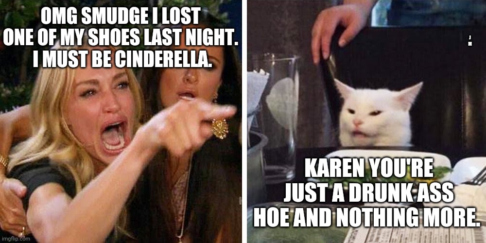 Smudge the cat | J M; OMG SMUDGE I LOST ONE OF MY SHOES LAST NIGHT.   I MUST BE CINDERELLA. KAREN YOU'RE JUST A DRUNK ASS HOE AND NOTHING MORE. | image tagged in smudge the cat | made w/ Imgflip meme maker