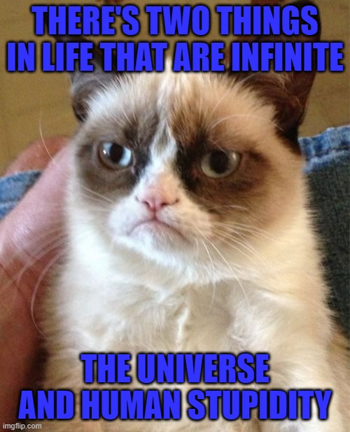 Not gonna argue with that... | THERE'S TWO THINGS IN LIFE THAT ARE INFINITE; THE UNIVERSE AND HUMAN STUPIDITY | image tagged in memes,grumpy cat,infinite,funny | made w/ Imgflip meme maker