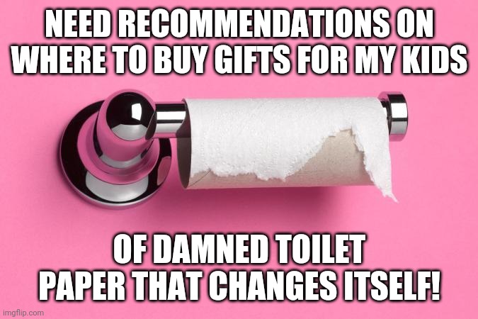 Empty Toilet Paper Roll | NEED RECOMMENDATIONS ON WHERE TO BUY GIFTS FOR MY KIDS; OF DAMNED TOILET PAPER THAT CHANGES ITSELF! | image tagged in empty toilet paper roll,toilet paper | made w/ Imgflip meme maker