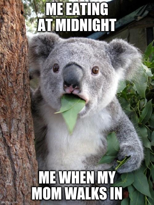 Surprised Koala | ME EATING AT MIDNIGHT; ME WHEN MY MOM WALKS IN | image tagged in memes,surprised koala | made w/ Imgflip meme maker