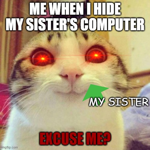 Smiling Cat | ME WHEN I HIDE MY SISTER'S COMPUTER; MY SISTER; EXCUSE ME? | image tagged in memes,smiling cat | made w/ Imgflip meme maker