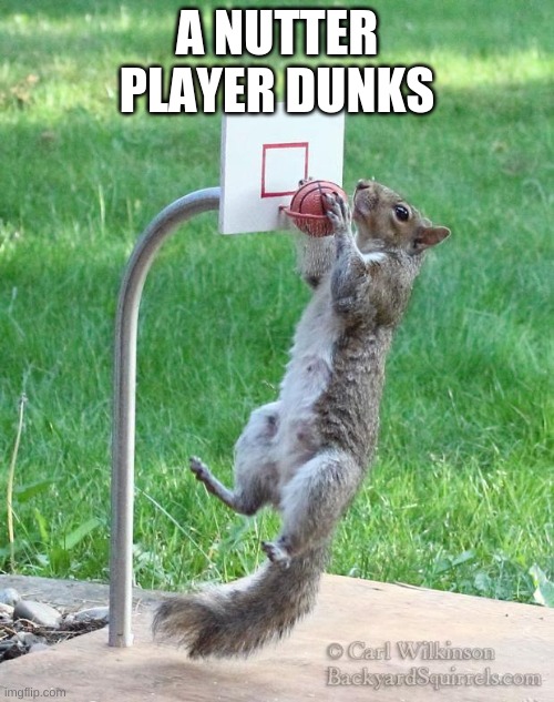 easy | A NUTTER PLAYER DUNKS | image tagged in squirrel basketball | made w/ Imgflip meme maker