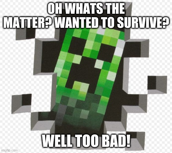 well to bad! | OH WHATS THE MATTER? WANTED TO SURVIVE? WELL TOO BAD! | image tagged in minecraft creeper | made w/ Imgflip meme maker