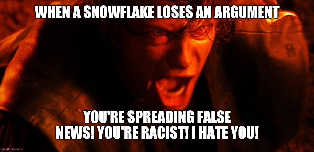 Snowflake Anakin | WHEN A SNOWFLAKE LOSES AN ARGUMENT; YOU'RE SPREADING FALSE NEWS! YOU'RE RACIST! I HATE YOU! | image tagged in anakin i hate you,snowflake | made w/ Imgflip meme maker
