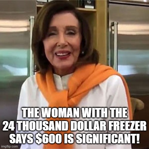 Pelosi's Freezer | THE WOMAN WITH THE 24 THOUSAND DOLLAR FREEZER SAYS $600 IS SIGNIFICANT! | image tagged in pelosi's freezer | made w/ Imgflip meme maker