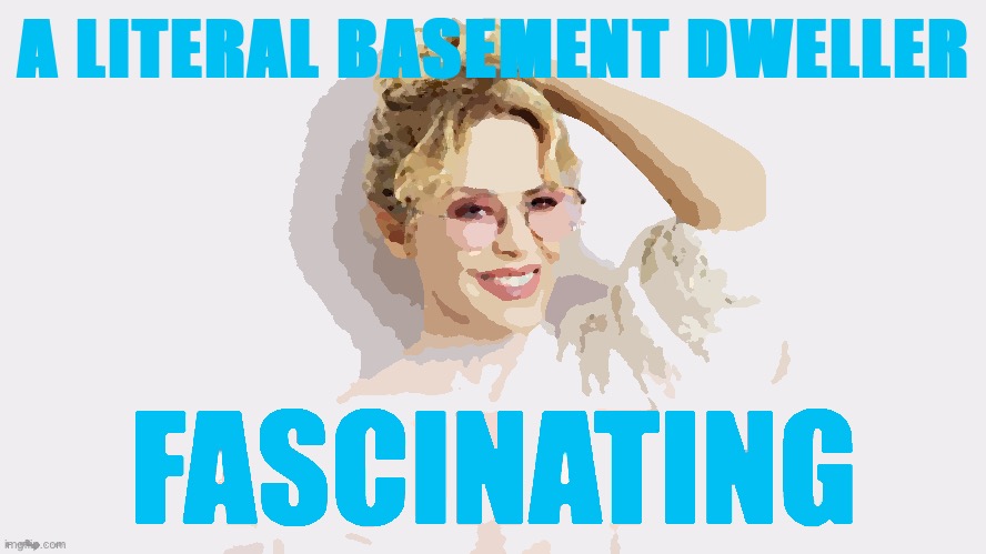 Kylie fascinating | A LITERAL BASEMENT DWELLER | image tagged in kylie fascinating | made w/ Imgflip meme maker