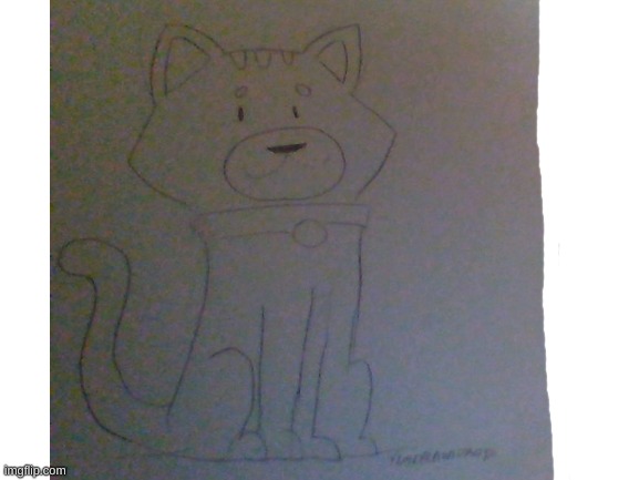 I'm new on the stream so I drew a cat | image tagged in drawing,cat | made w/ Imgflip meme maker