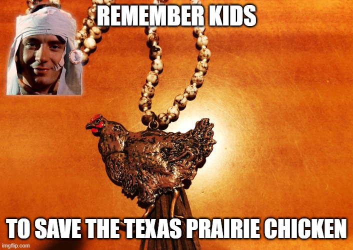 Save The Texas Prairie Chicken | REMEMBER KIDS; TO SAVE THE TEXAS PRAIRIE CHICKEN | image tagged in mike nesmith,the monkees,texas,chicken | made w/ Imgflip meme maker