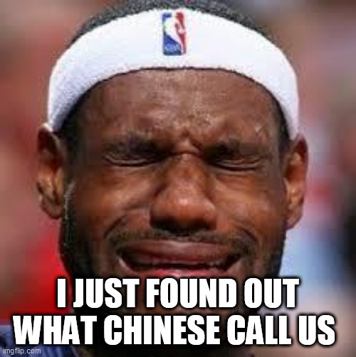 NBA | I JUST FOUND OUT WHAT CHINESE CALL US | image tagged in nba | made w/ Imgflip meme maker