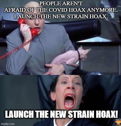 hoax | PEOPLE AREN'T AFRAID OF THE COVID HOAX ANYMORE.

LAUNCH THE NEW STRAIN HOAX. LAUNCH THE NEW STRAIN HOAX! | image tagged in dr evil and frau | made w/ Imgflip meme maker