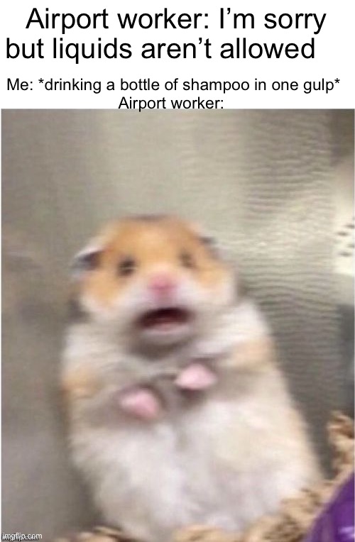 Scared Hamster |  Airport worker: I’m sorry but liquids aren’t allowed; Me: *drinking a bottle of shampoo in one gulp*
Airport worker: | image tagged in scared hamster | made w/ Imgflip meme maker