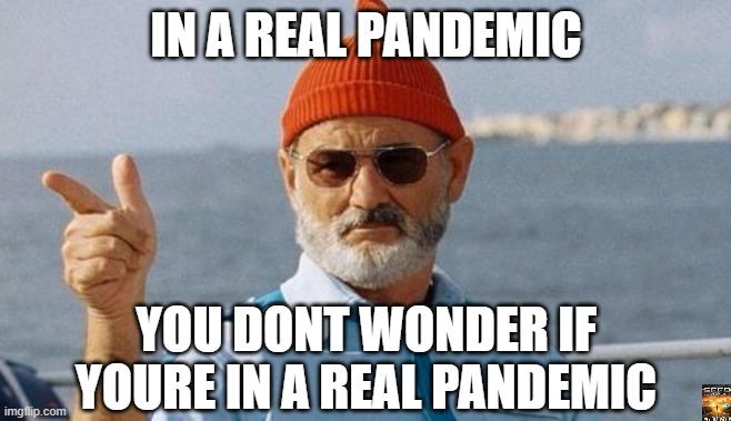 Bill Murray wishes you a happy birthday | IN A REAL PANDEMIC; YOU DONT WONDER IF YOURE IN A REAL PANDEMIC | image tagged in bill murray wishes you a happy birthday | made w/ Imgflip meme maker