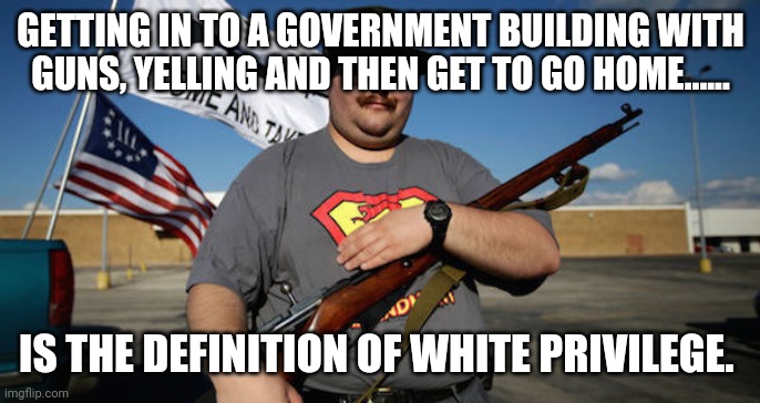 White privilege | GETTING IN TO A GOVERNMENT BUILDING WITH GUNS, YELLING AND THEN GET TO GO HOME...... IS THE DEFINITION OF WHITE PRIVILEGE. | image tagged in conservatives,covidiots,covid19,coronavirus,trump supporters,donald trump | made w/ Imgflip meme maker