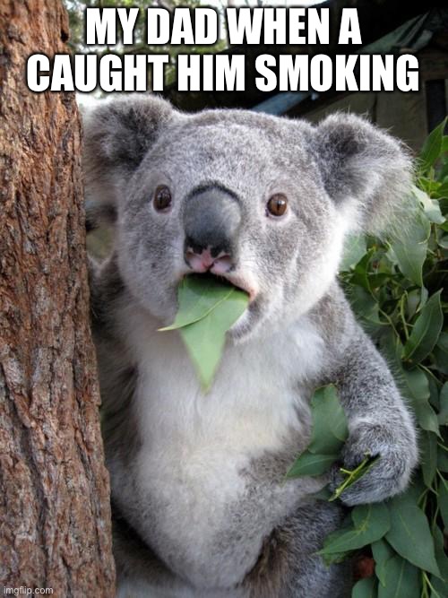 Surprised Koala Meme | MY DAD WHEN A CAUGHT HIM SMOKING | image tagged in memes,surprised koala | made w/ Imgflip meme maker