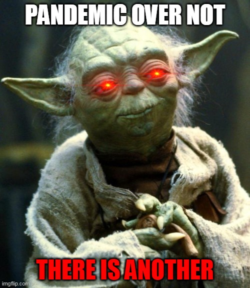 Star Wars Yoda Meme | PANDEMIC OVER NOT; THERE IS ANOTHER | image tagged in memes,star wars yoda | made w/ Imgflip meme maker