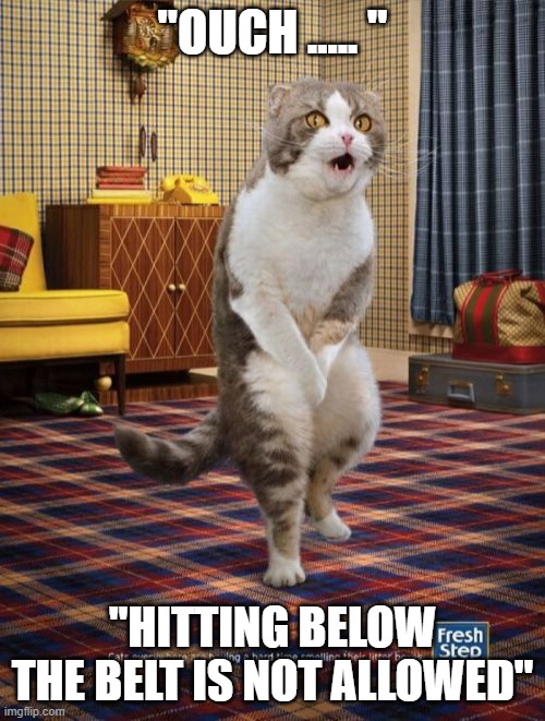 Gotta Go Cat | "OUCH ..... "; "HITTING BELOW THE BELT IS NOT ALLOWED" | image tagged in memes,gotta go cat | made w/ Imgflip meme maker