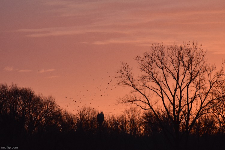 good evening | made w/ Imgflip meme maker