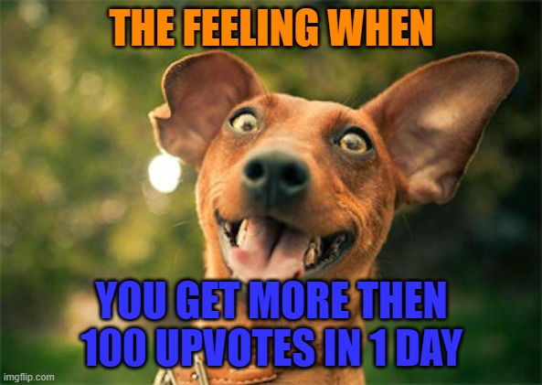 I do have a meme that has 140 upvotes since yesterday... | THE FEELING WHEN; YOU GET MORE THEN 100 UPVOTES IN 1 DAY | image tagged in happy dog,hooray,why are you reading this | made w/ Imgflip meme maker