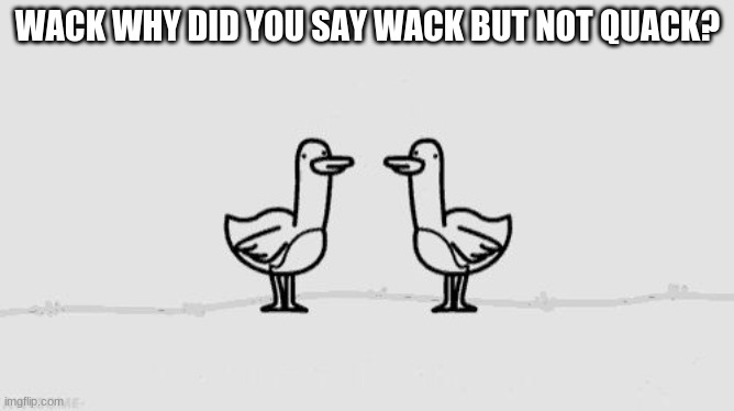 this is my only asdfmovie |  WACK WHY DID YOU SAY WACK BUT NOT QUACK? | image tagged in asdf movie | made w/ Imgflip meme maker