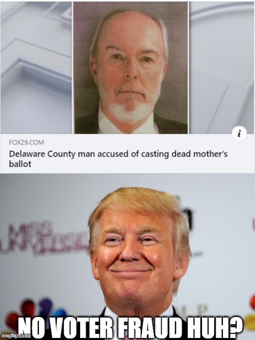 Yeah...1 case... | NO VOTER FRAUD HUH? | image tagged in donald trump approves | made w/ Imgflip meme maker