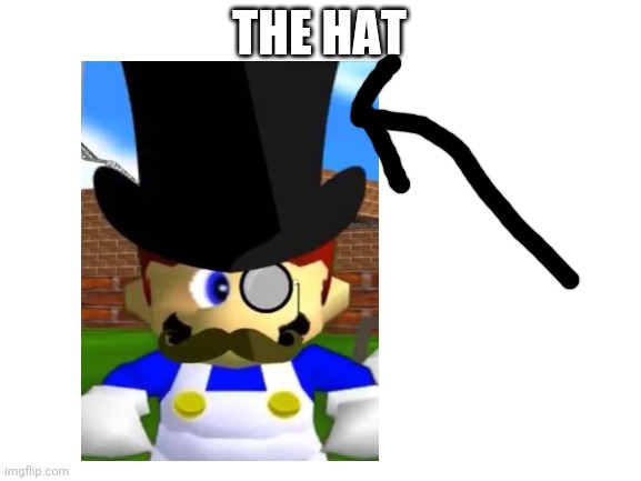 Blank White Template | THE HAT | image tagged in blank white template | made w/ Imgflip meme maker