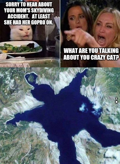 SORRY TO HEAR ABOUT YOUR MOM'S SKYDIVING ACCIDENT.   AT LEAST SHE HAD HER GOPRO ON. WHAT ARE YOU TALKING ABOUT YOU CRAZY CAT? J M | image tagged in reverse smudge and karen | made w/ Imgflip meme maker