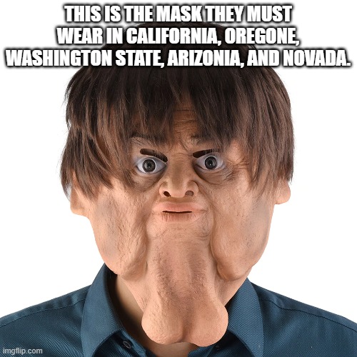 THIS IS THE MASK THEY MUST WEAR IN CALIFORNIA, OREGONE, WASHINGTON STATE, ARIZONIA, AND NOVADA. | made w/ Imgflip meme maker