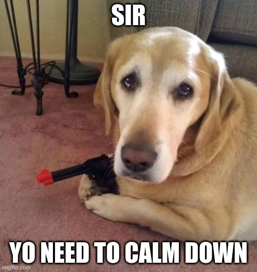 well well well | SIR; YO NEED TO CALM DOWN | image tagged in dog | made w/ Imgflip meme maker