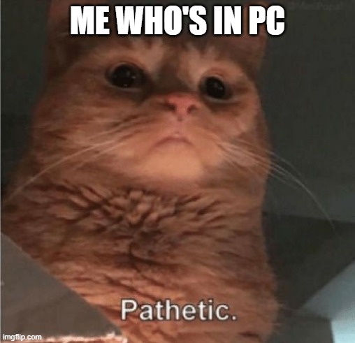 Pathetic Cat | ME WHO'S IN PC | image tagged in pathetic cat | made w/ Imgflip meme maker
