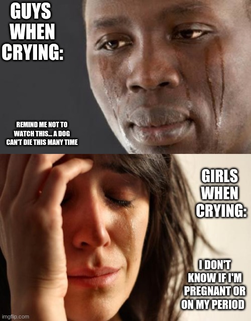 Only things girls can say | GUYS 
WHEN
CRYING:; REMIND ME NOT TO WATCH THIS... A DOG CAN'T DIE THIS MANY TIME; GIRLS 
WHEN 
CRYING:; I DON'T KNOW IF I'M PREGNANT OR ON MY PERIOD | image tagged in crying guy,memes,first world problems | made w/ Imgflip meme maker