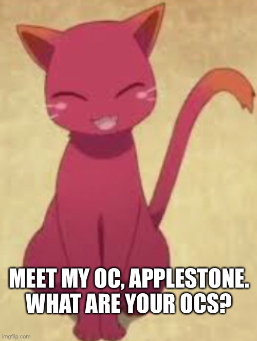 She’s an elder, but acts really young | MEET MY OC, APPLESTONE. WHAT ARE YOUR OCS? | image tagged in character,cat | made w/ Imgflip meme maker