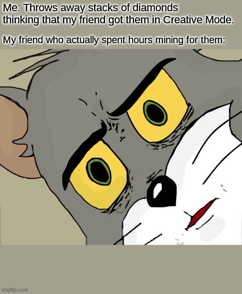 bruh | Me: Throws away stacks of diamonds thinking that my friend got them in Creative Mode. My friend who actually spent hours mining for them: | image tagged in memes,unsettled tom | made w/ Imgflip meme maker