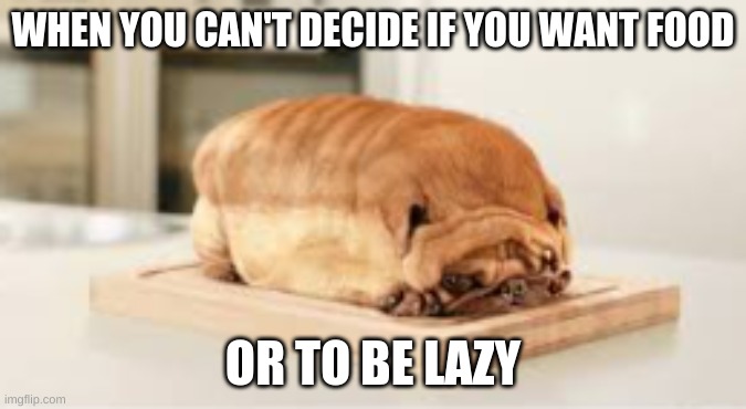 pug foodz | WHEN YOU CAN'T DECIDE IF YOU WANT FOOD; OR TO BE LAZY | image tagged in bread dog,pug,lazy,food | made w/ Imgflip meme maker