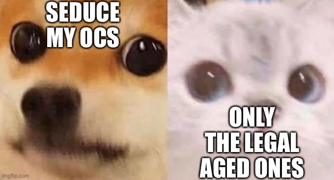 scared cat and scared dog | SEDUCE MY OCS; ONLY THE LEGAL AGED ONES | image tagged in scared cat and scared dog | made w/ Imgflip meme maker
