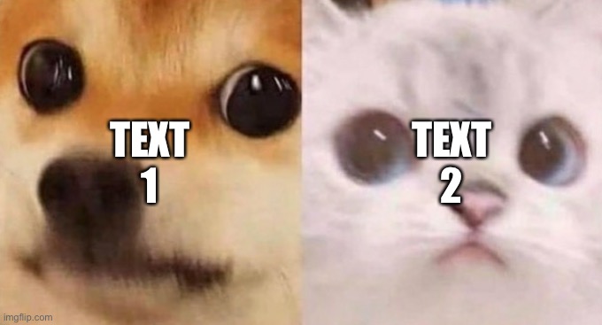 scared cat and scared dog | TEXT 1; TEXT 2 | image tagged in scared cat and scared dog | made w/ Imgflip meme maker