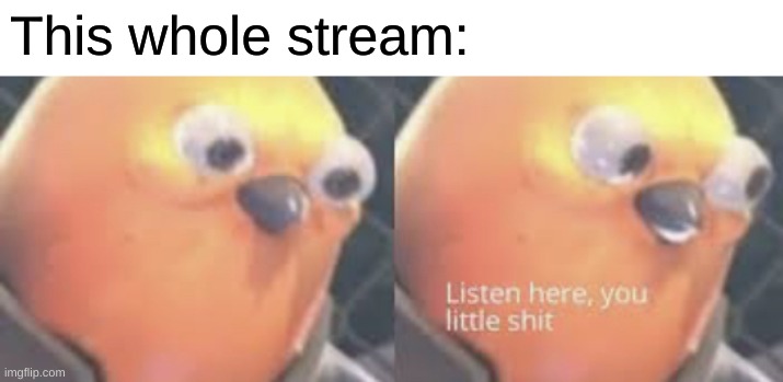 Listen here you little shit bird | This whole stream: | image tagged in listen here you little shit bird | made w/ Imgflip meme maker