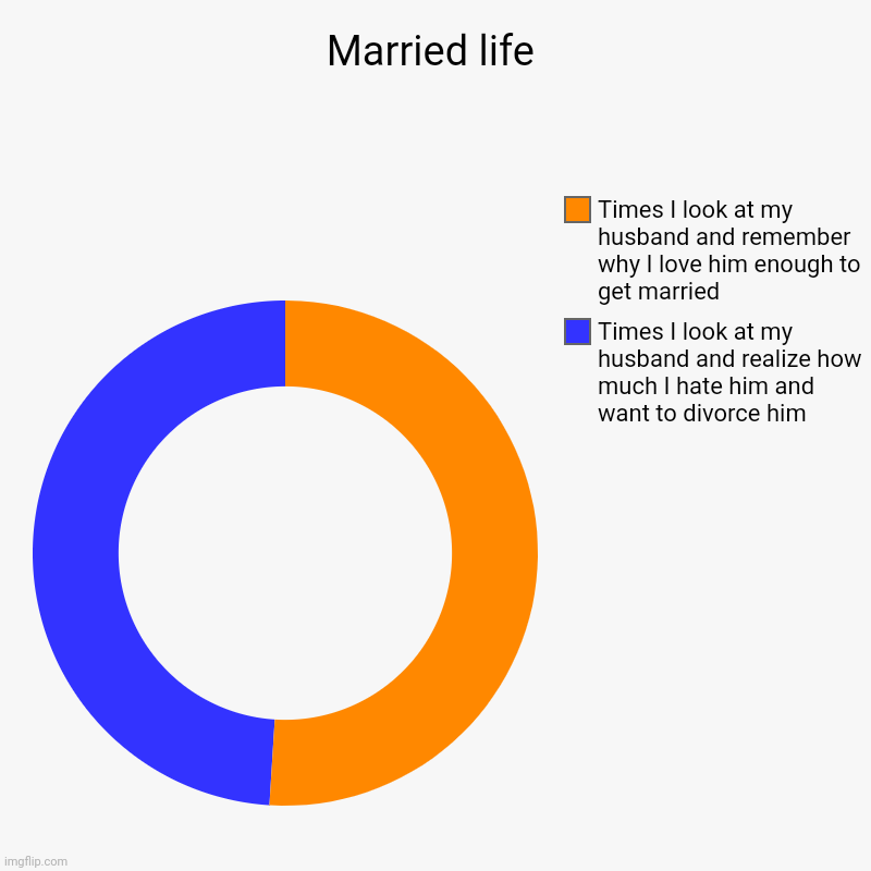 Married life | Married life | Times I look at my husband and realize how much I hate him and want to divorce him, Times I look at my husband and remember w | image tagged in charts,donut charts,marriage | made w/ Imgflip chart maker