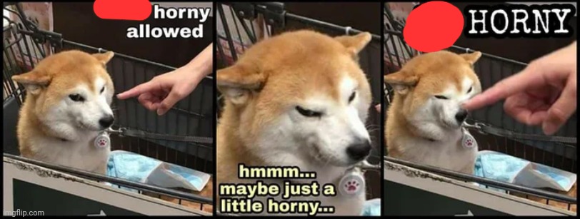 S o h o r n y | image tagged in just a little horny | made w/ Imgflip meme maker