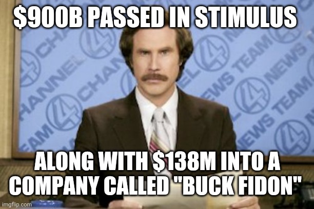 Politics and stuff | $900B PASSED IN STIMULUS; ALONG WITH $138M INTO A COMPANY CALLED "BUCK FIDON" | image tagged in memes,ron burgundy | made w/ Imgflip meme maker