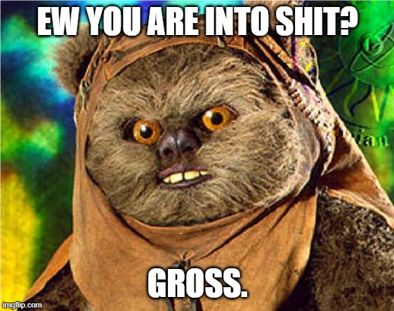 Angry Ewok | EW YOU ARE INTO SHIT? GROSS. | image tagged in angry ewok | made w/ Imgflip meme maker