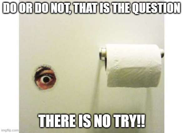 Bathroom Peeping Tom | DO OR DO NOT, THAT IS THE QUESTION; THERE IS NO TRY!! | image tagged in bathroom peeping tom | made w/ Imgflip meme maker