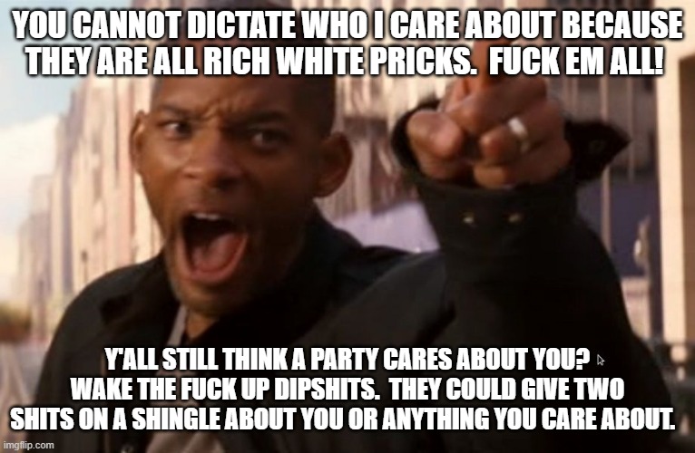 Will Smith says aww hell naw | YOU CANNOT DICTATE WHO I CARE ABOUT BECAUSE THEY ARE ALL RICH WHITE PRICKS.  FUCK EM ALL! Y'ALL STILL THINK A PARTY CARES ABOUT YOU? WAKE TH | image tagged in will smith says aww hell naw | made w/ Imgflip meme maker