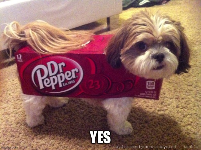 Dr Pepper Costume | YES | image tagged in dr pepper costume | made w/ Imgflip meme maker