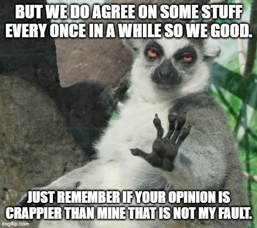 Stoner Lemur Meme | BUT WE DO AGREE ON SOME STUFF EVERY ONCE IN A WHILE SO WE GOOD. JUST REMEMBER IF YOUR OPINION IS CRAPPIER THAN MINE THAT IS NOT MY FAULT. | image tagged in memes,stoner lemur | made w/ Imgflip meme maker