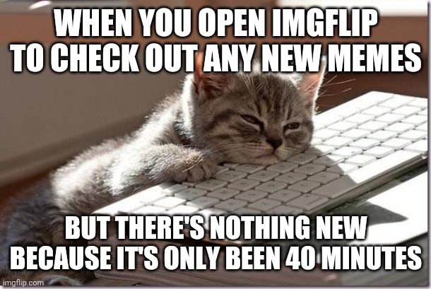 Meme addict | WHEN YOU OPEN IMGFLIP TO CHECK OUT ANY NEW MEMES; BUT THERE'S NOTHING NEW BECAUSE IT'S ONLY BEEN 40 MINUTES | image tagged in bored keyboard cat | made w/ Imgflip meme maker
