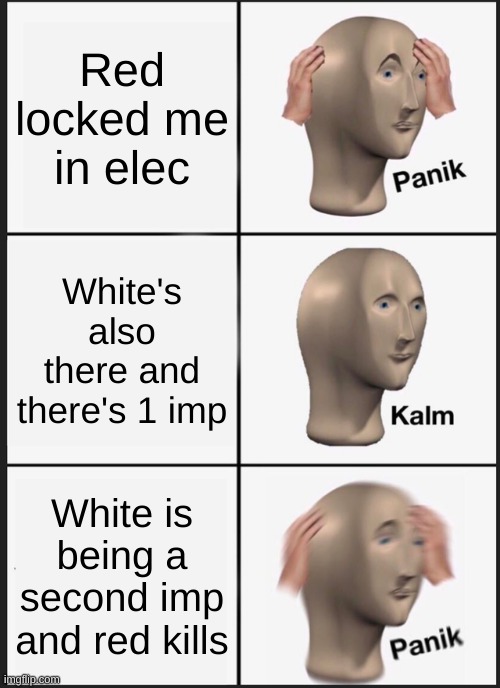 Among Us in a Nutshell | Red locked me in elec; White's also there and there's 1 imp; White is being a second imp and red kills | image tagged in memes,panik kalm panik | made w/ Imgflip meme maker